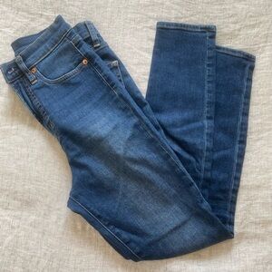 Classic Gap Blue Denim Skinny Jeans
